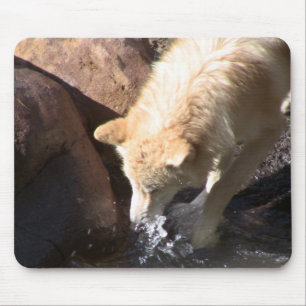 Tapis De Souris Loup gris