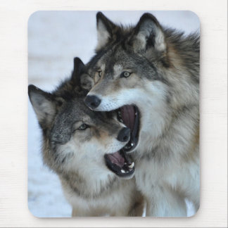 Tapis De Souris Loup gris