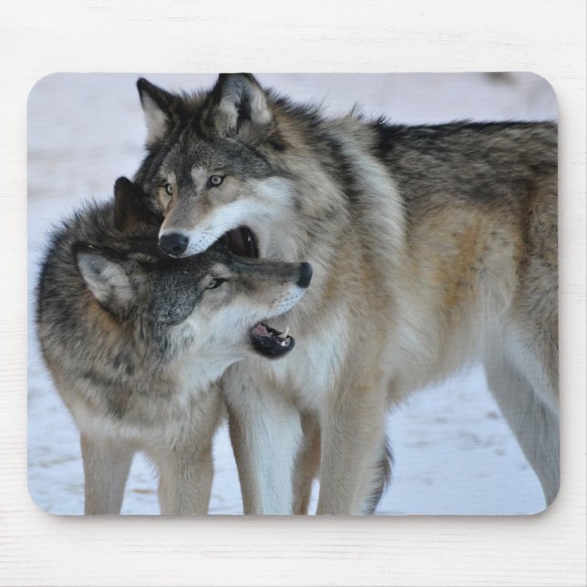 Tapis De Souris Loup gris (Devant)