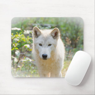 Tapis De Souris Loup gris, Canine calme