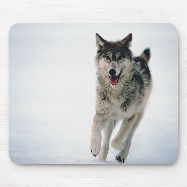 Tapis De Souris Loup gris courant (Devant)