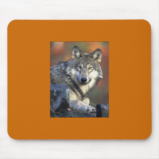 Tapis De Souris Loup gris Mousepad (Devant)