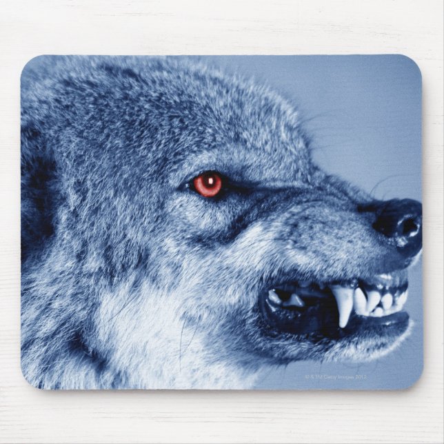 Tapis De Souris Loup narling (Canis Lupus), profil (Digital (Devant)