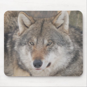 Tapis De Souris Loups