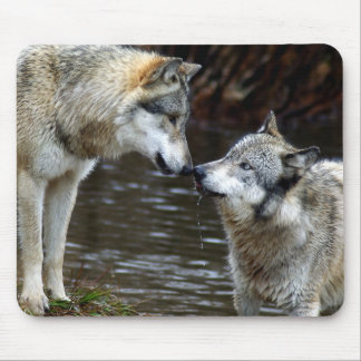 Tapis De Souris Loups - nez à flairer