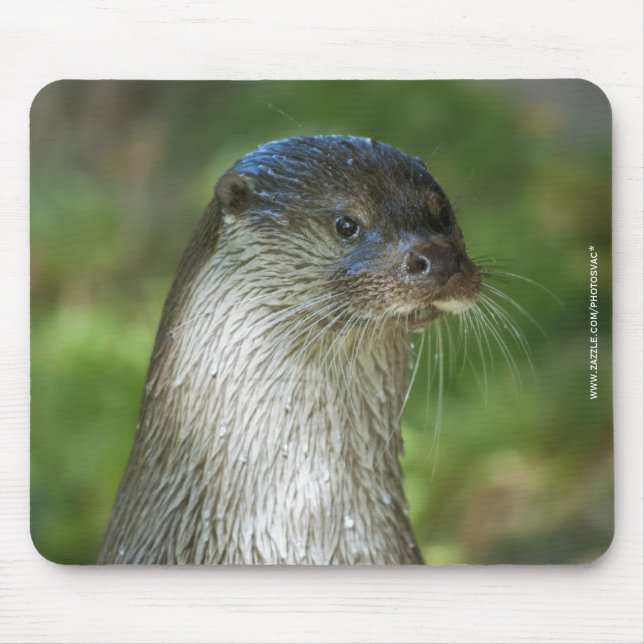 Tapis De Souris Loutre (Devant)