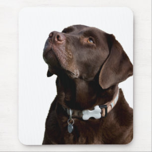 Tapis De Souris Love Black & Brown Labrador Retriever Mouse Pad