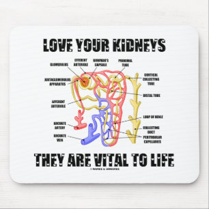 Tapis De Souris Love Your Kidneys They Are Vital To Life (Nephron)