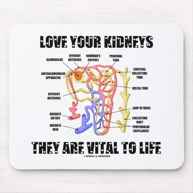 Tapis De Souris Love Your Kidneys They Are Vital To Life (Nephron) (Devant)