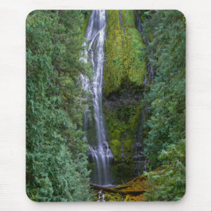 Tapis De Souris Lower Proxy Falls   Forêt nationale de Willamette