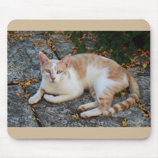 Tapis De Souris Lucky le beau chat (Devant)