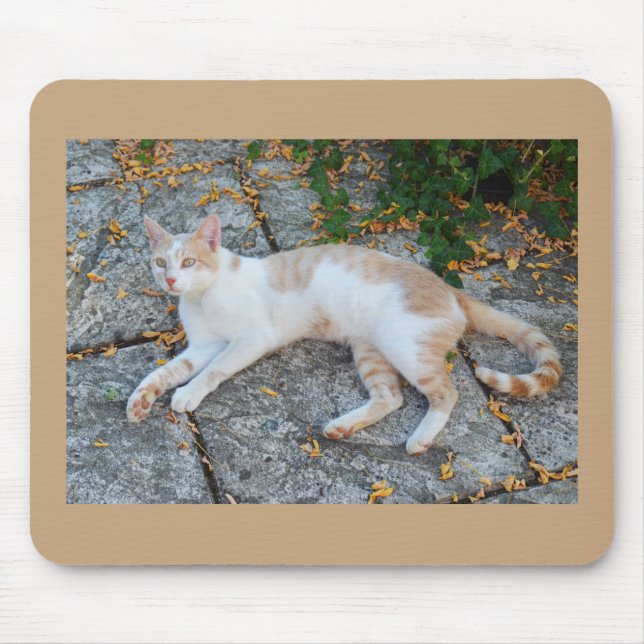 Tapis De Souris Lucky Wake cat (Devant)