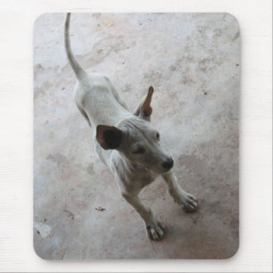 Tapis De Souris Luk Maa ... Chien chiot thaïlandais Soi