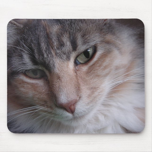 Tapis De Souris Lulu close-up (Devant)