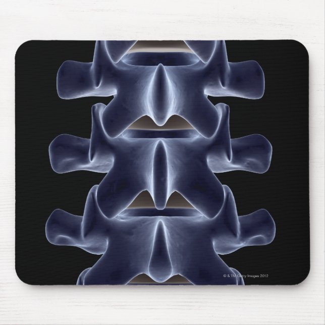 Tapis De Souris Lumbar Vertebra 2 (Devant)