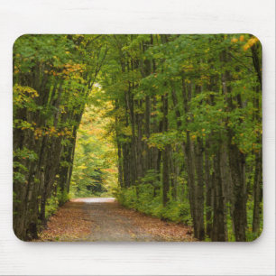 Tapis De Souris Lumière Au Bout D'un Tunnel D'arbres