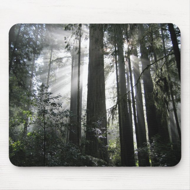 Tapis De Souris Lumière du soleil par les séquoias (Devant)