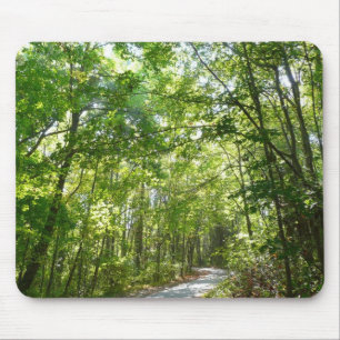 Tapis De Souris Lumière du soleil sur le chemin boisé à Centennial