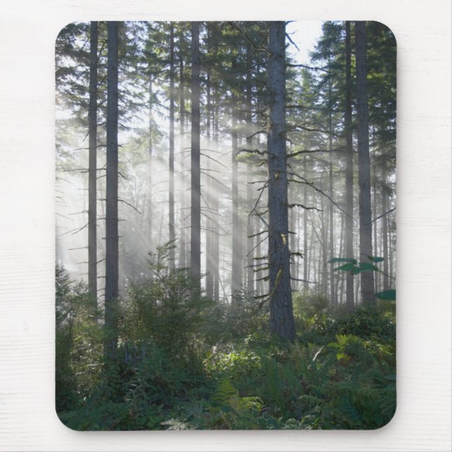 Tapis De Souris Lumière du soleil traversant une forêt brumeuse (Devant)