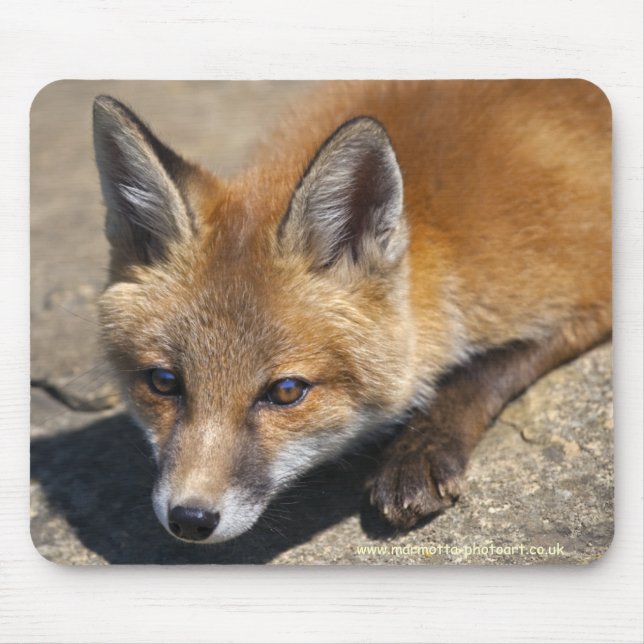 Tapis de souris Luna Fox (Devant)