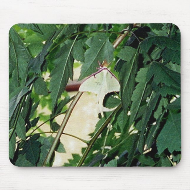 Tapis De Souris Luna Moth (Devant)