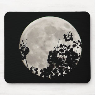Tapis De Souris Lune derrière feuilles sombres