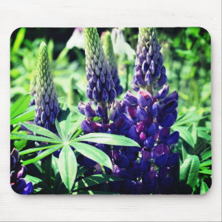 Tapis De Souris Lupine Trio