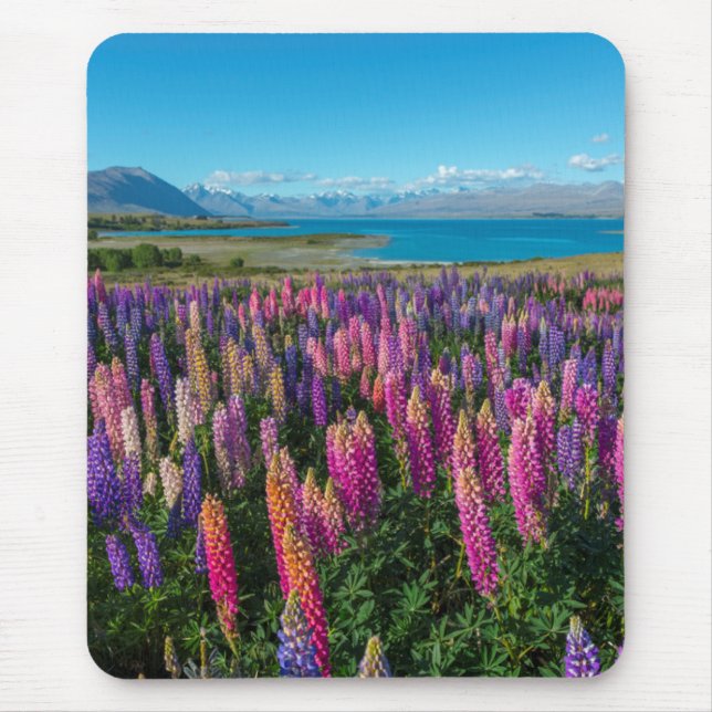 Tapis De Souris Lupines de Russle au lac Tekapo | Nouvelle Zélande (Devant)