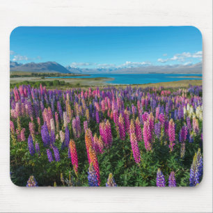 Tapis De Souris Lupines de Russle au lac Tekapo   Nouvelle Zélande