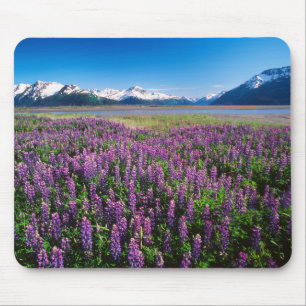 Tapis De Souris Lupines en fleur   Kenai Mountains, Alaska