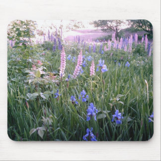 Tapis De Souris Lupines et iris