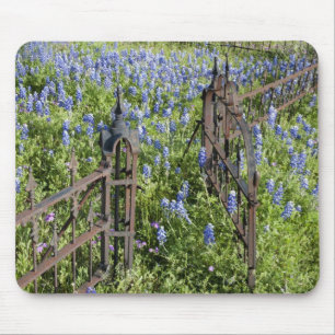 Tapis De Souris Lupins bleus et phlox entourant la porte du cimeti