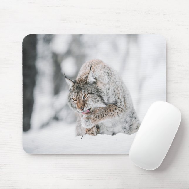 Tapis De Souris Lynx de neige (Avec souris)