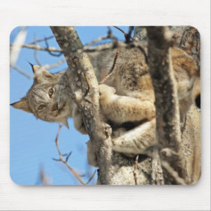 Tapis De Souris Lynx espiègle