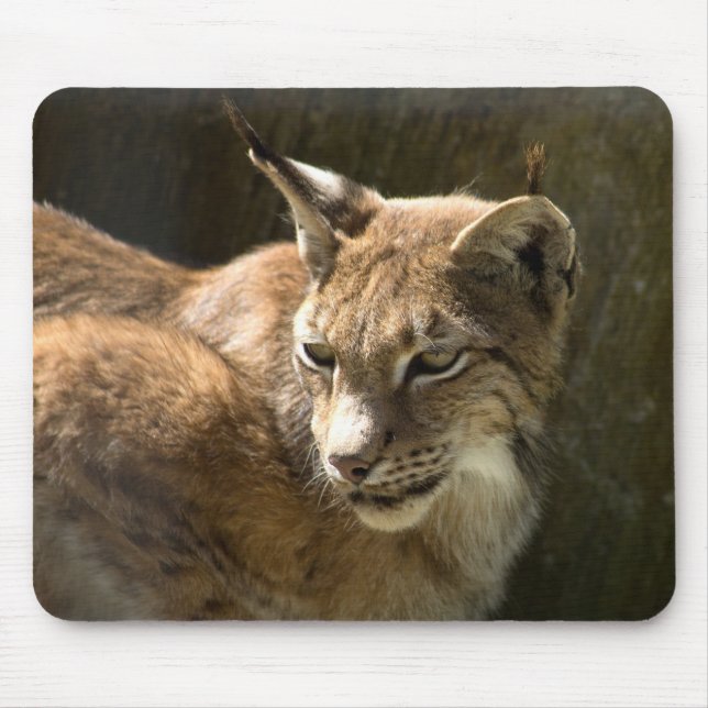 Tapis De Souris Lynx eurasien (Devant)