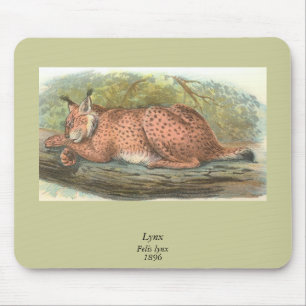 Tapis De Souris Lynx, Felis lynx