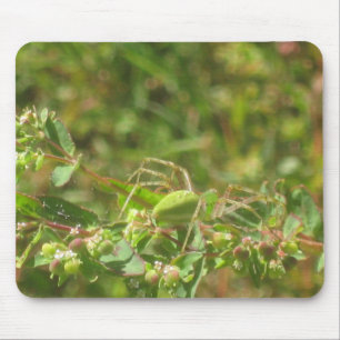 Tapis De Souris Lynx Spider
