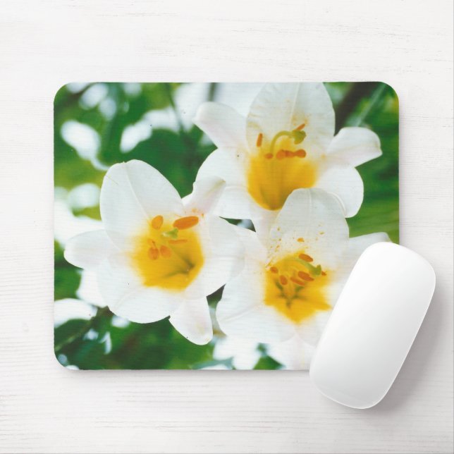 Tapis De Souris Lys blancs - Lilium Flower candidum (Avec souris)
