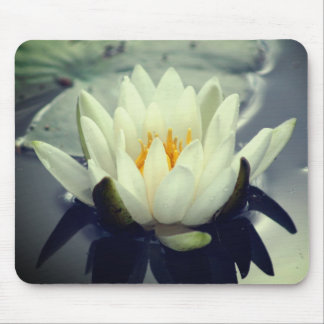 Tapis De Souris Lys d'eau Lotus Fleur
