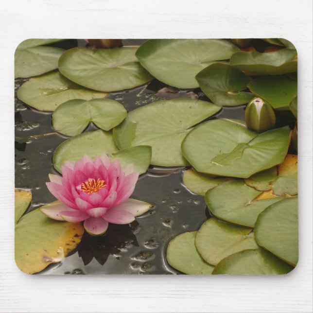 Tapis De Souris Lys d'eau Mousepad (Devant)