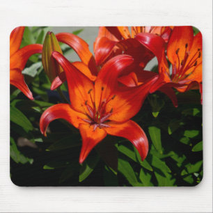 Tapis De Souris Lys orangé rose foncé
