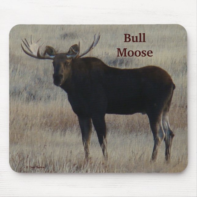 Tapis De Souris M4 Bull Moose (Devant)