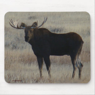 Tapis De Souris M4 Orignal