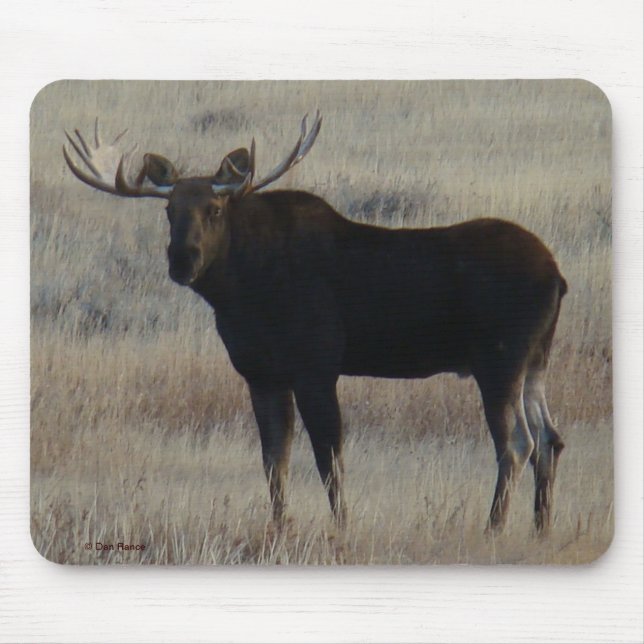 Tapis De Souris M4 Orignal (Devant)