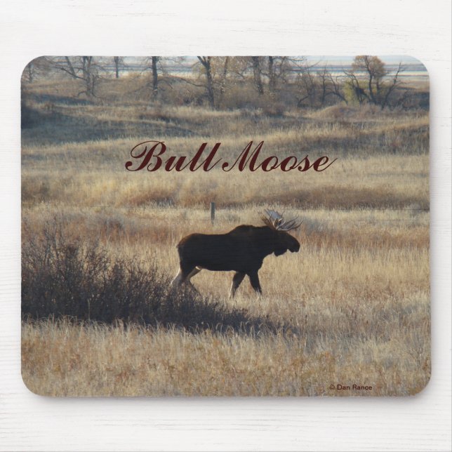 Tapis De Souris M5 Bull Moose (Devant)