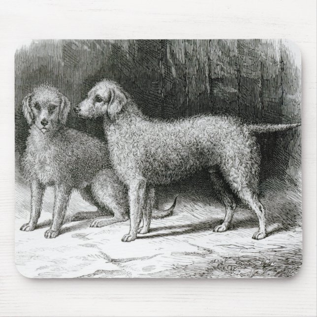 Tapis De Souris M.F. Armstrong de chiens terriers de Bedlington (Devant)