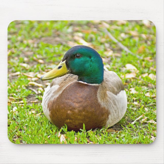 Tapis De Souris M. Mallard le Canard (Devant)