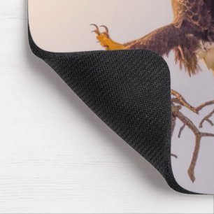 Tapis De Souris M SWFL Eagle Cam Mouse Pad 2021