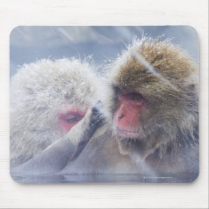 Tapis De Souris Macaques japonais (fuscata de Macaca) se