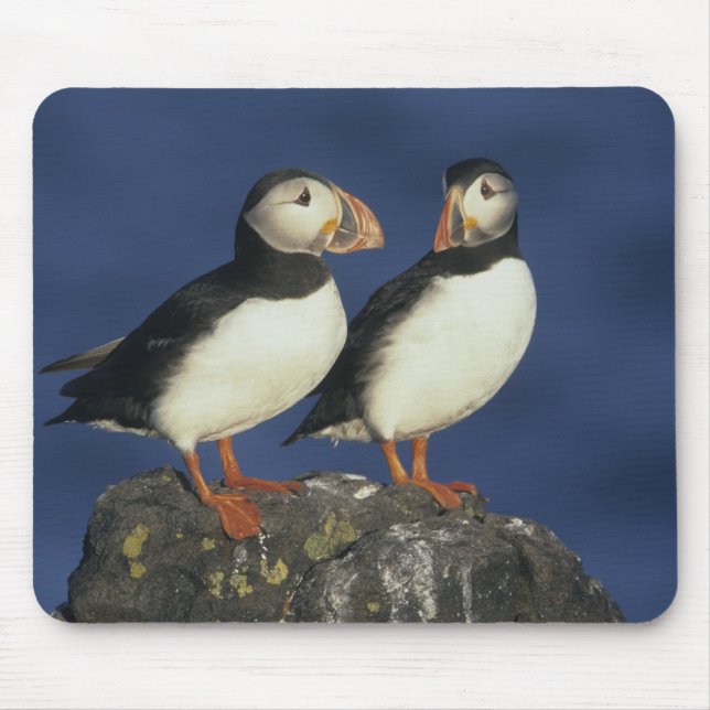 Tapis De Souris Macareux atlantique (Devant)